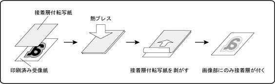 sbd_process.jpg